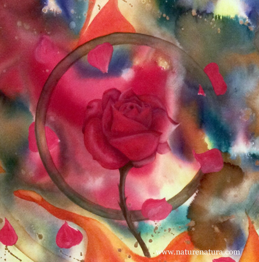 Rosa Rossa – mandala&nbsp;libero